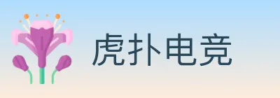虎扑电竞 logo